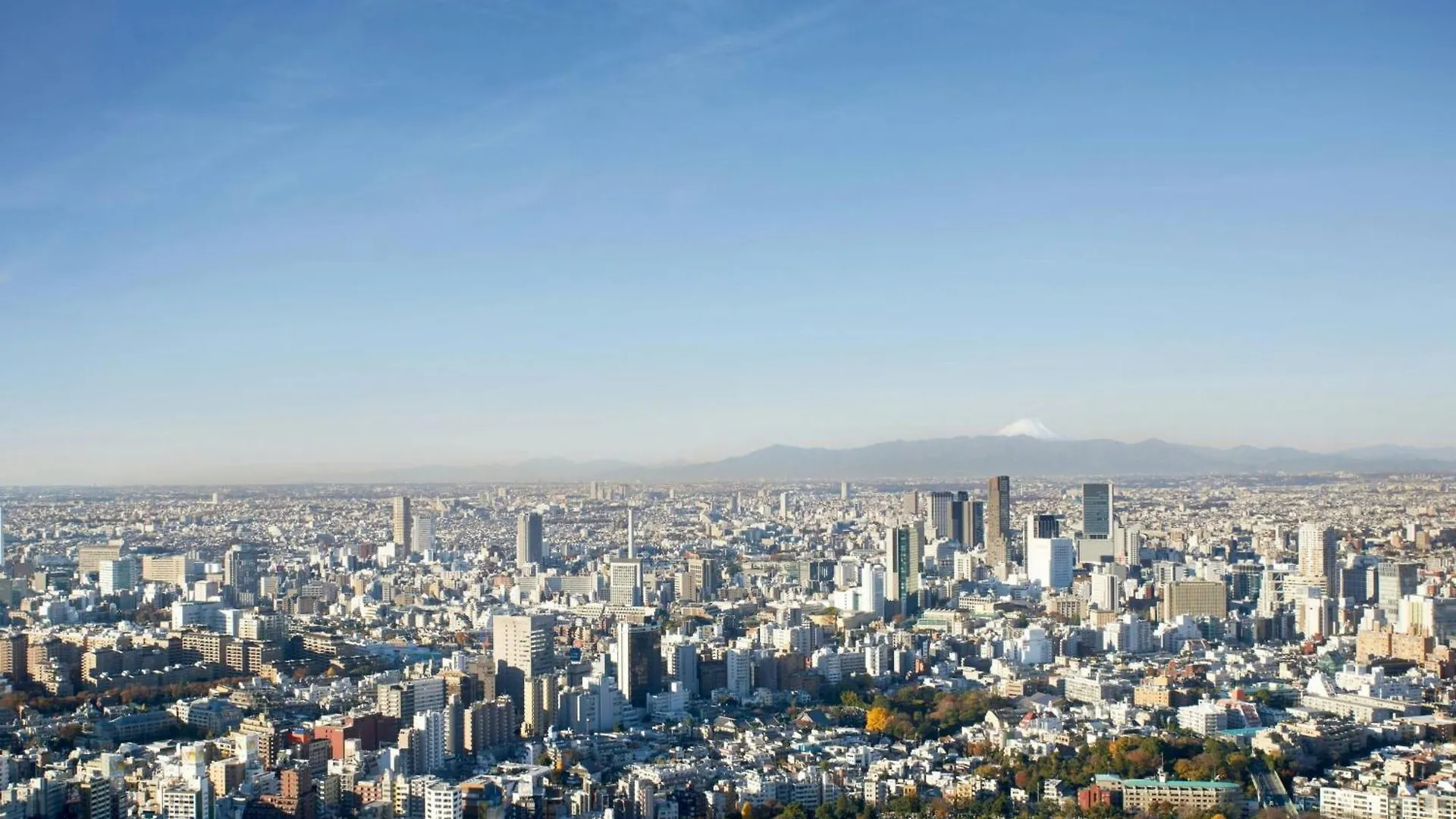 ホテル ザ・リッツ・カールトン東京 東京都
